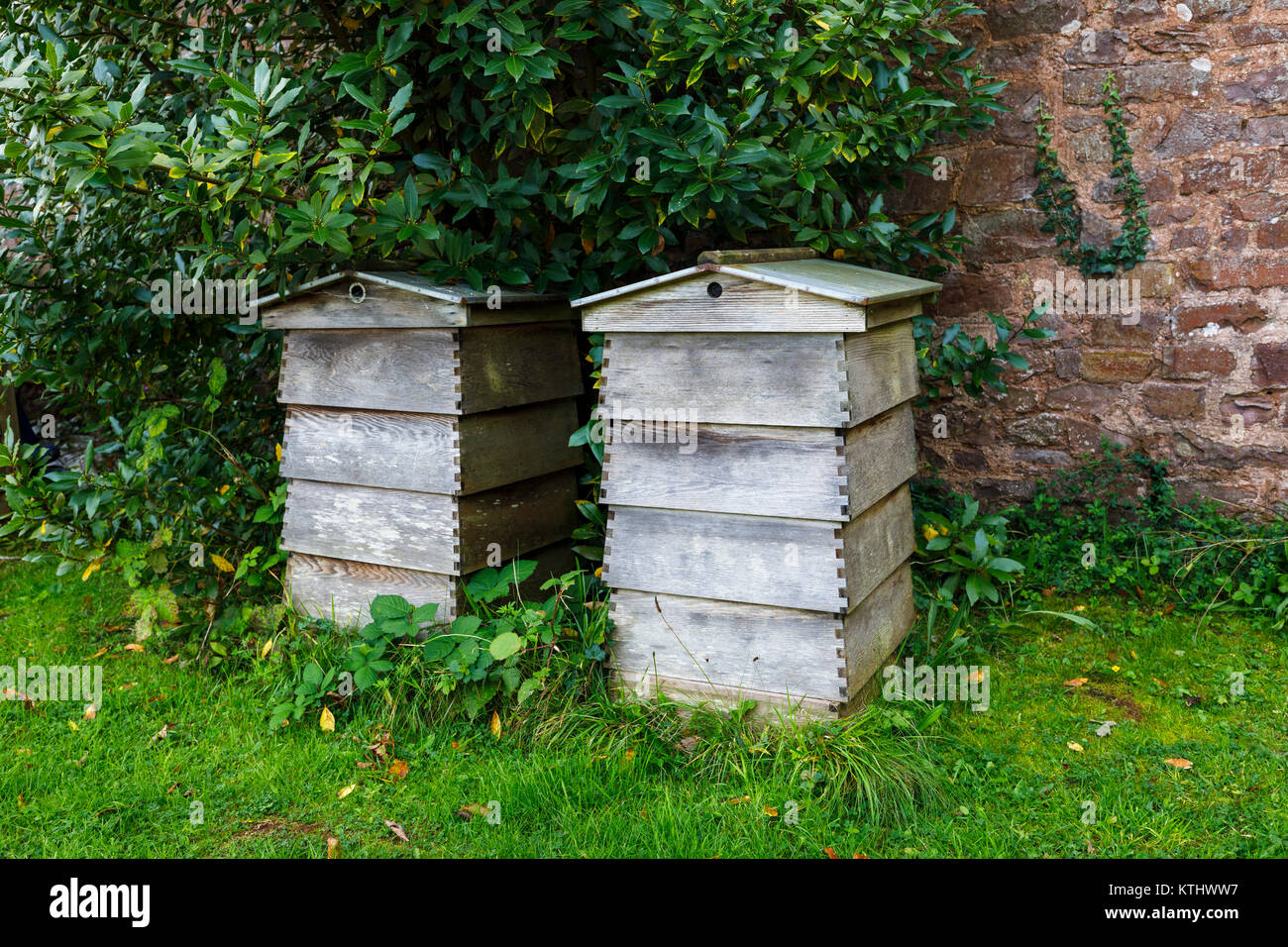 Briitsh beekeeping (apiculture): two typical traditional old-fashioned wooden beehives, classic design, in a walled garden against a brick wall Stock Photo