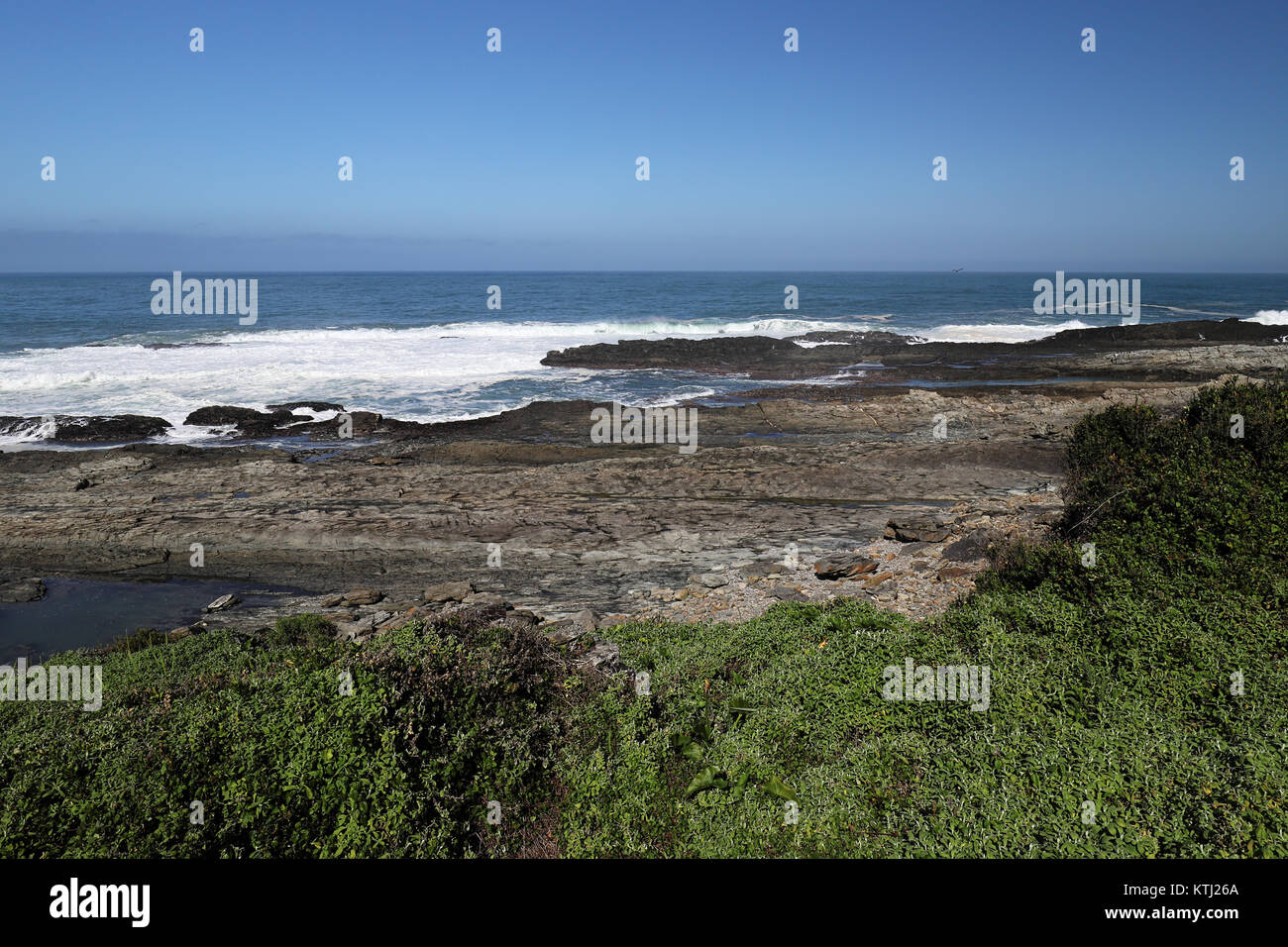 Landscape of Tsitsikamma National Park at Garden Route, South Africa Stock Photo