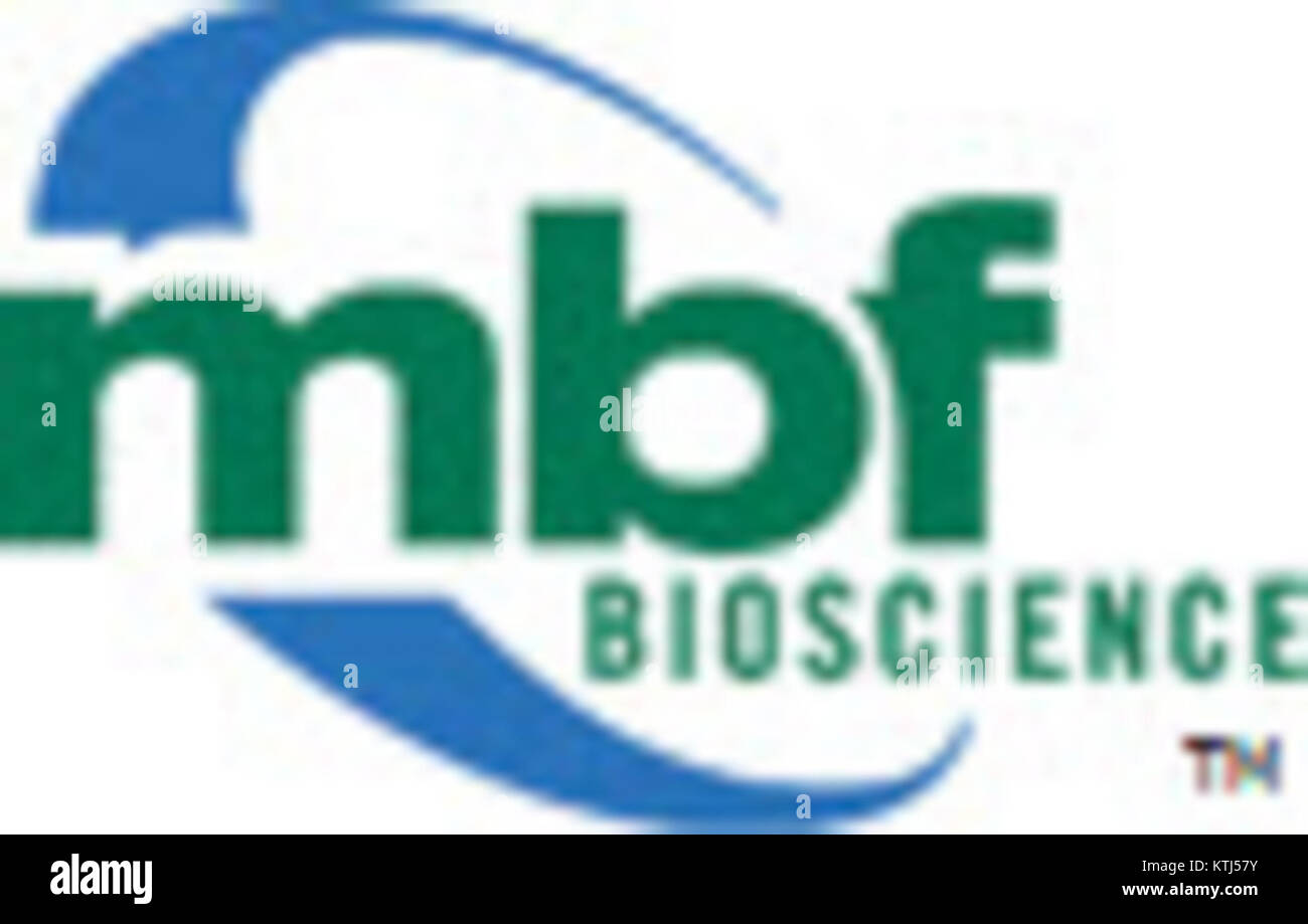 The 'Color logo small TM' represents a modern design featuring a ...