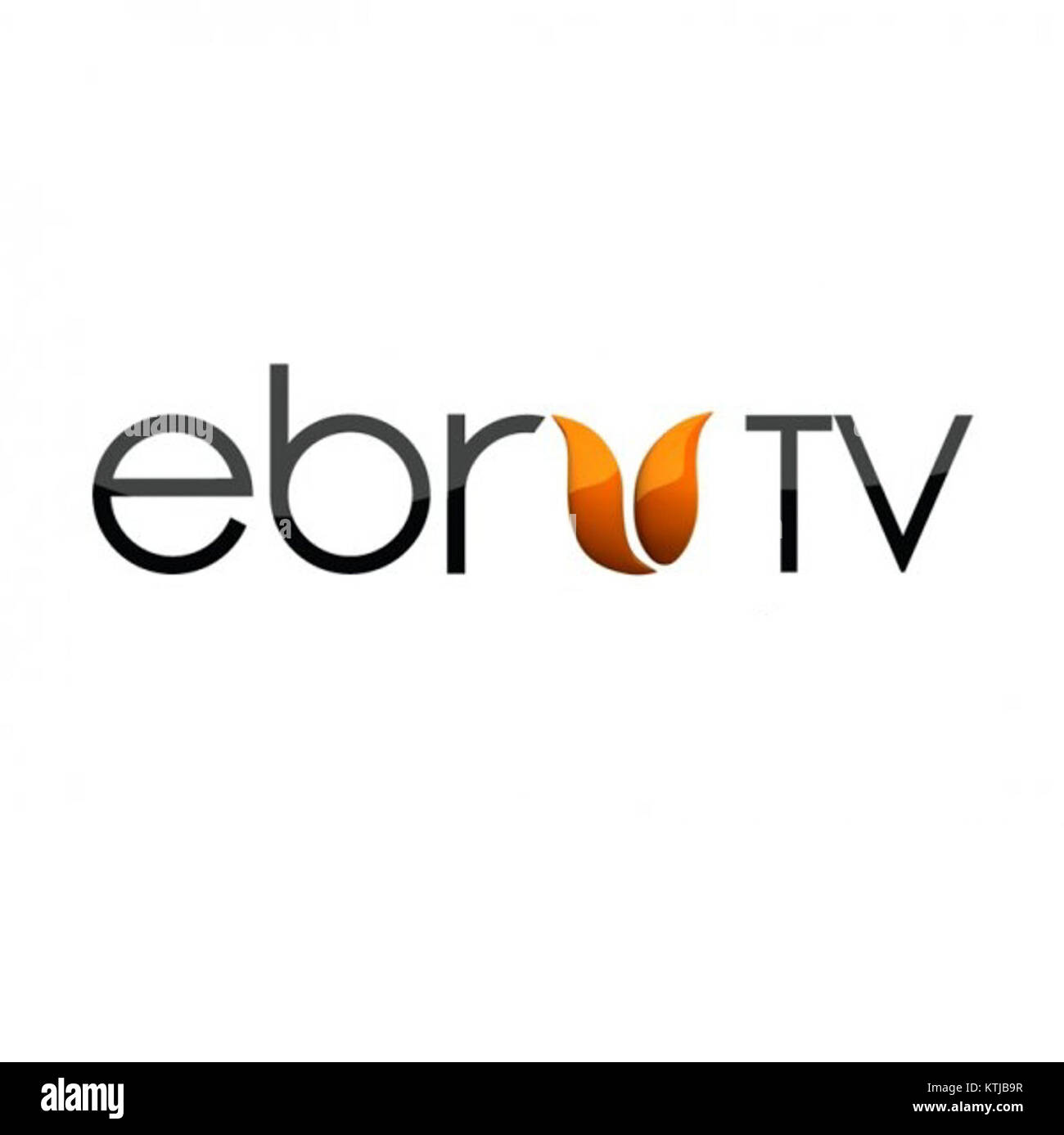 Ebruwiki is an online resource dedicated to the art of Ebru, a ...