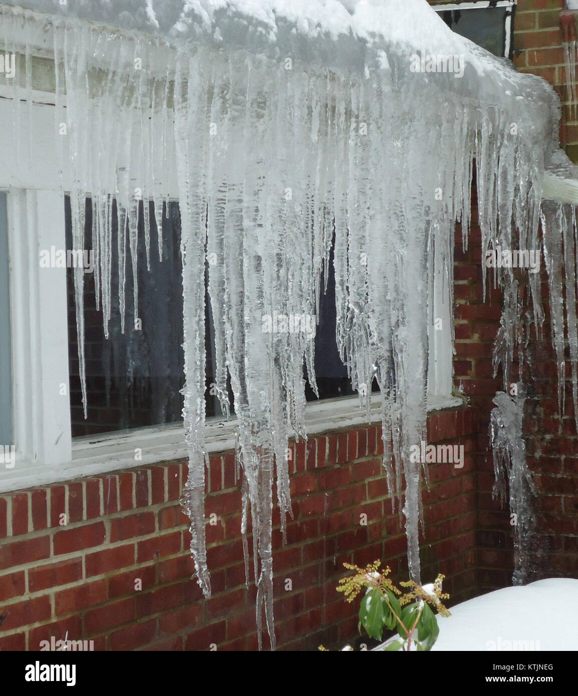 Large icicles are hanging from the roof of the Berkeley Heights Library ...