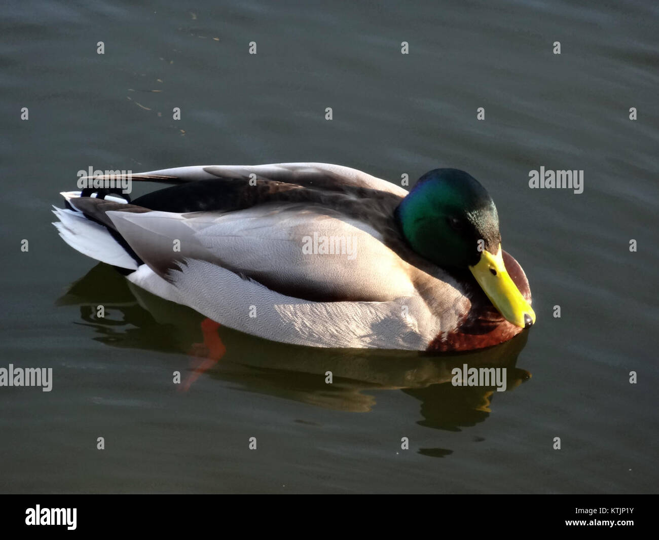 12 03 2014 hi-res stock photography and images - Alamy
