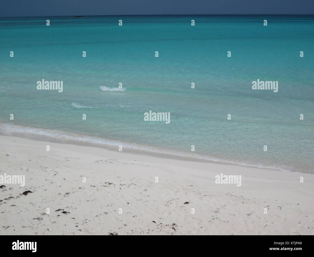 The Bahamas in 2009 saw significant developments in tourism and ...
