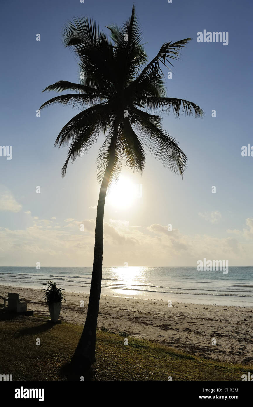 Palm trees silhouette on beautiful sunset tropical beach Stock Photo ...