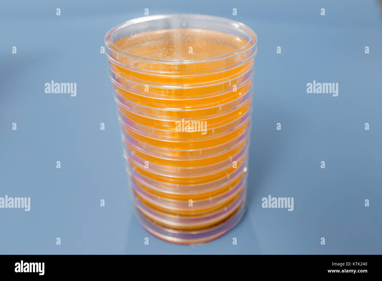 Pile of petri dish with growing cultures of fungi and