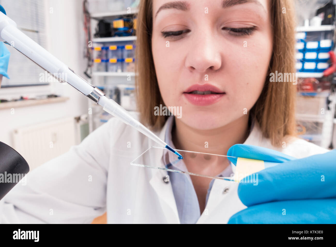 technician woman works with in genetic lab with biological materials ...