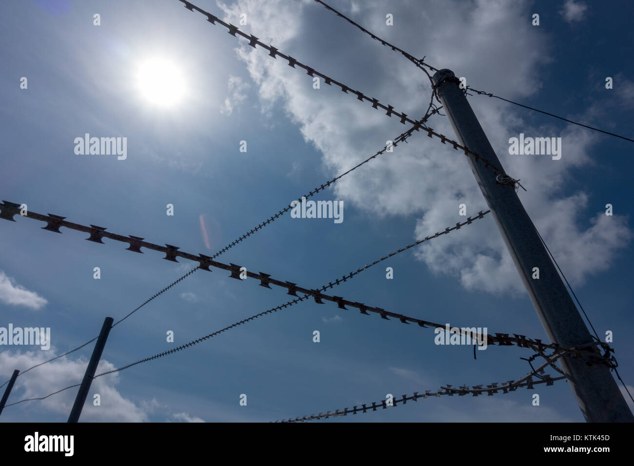 barbed wire on a background of blue sky Stock Photo - Alamy