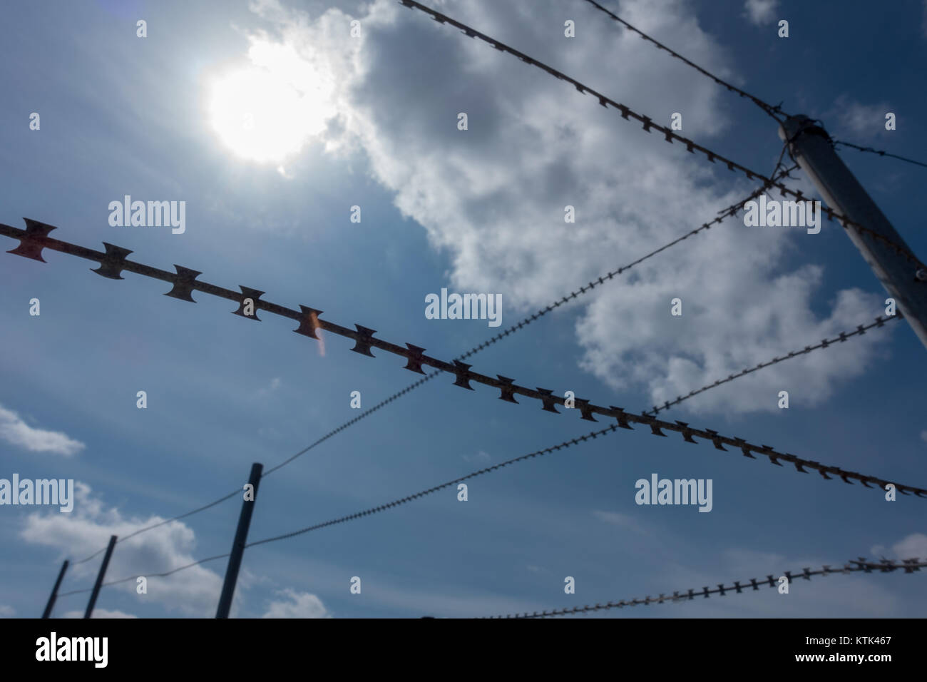 barbed wire on a background of blue sky Stock Photo - Alamy