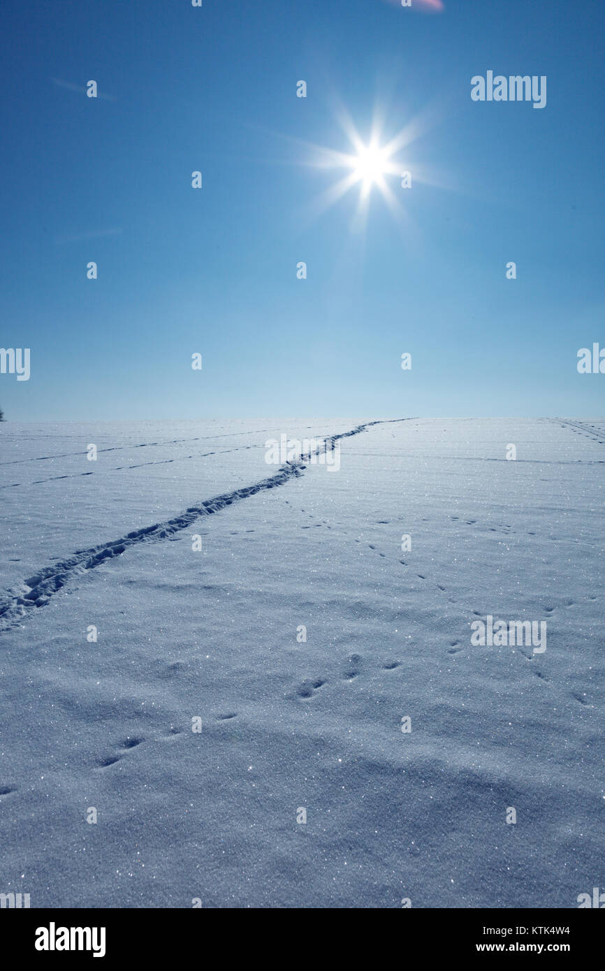 Snowy field with traces on it Stock Photo