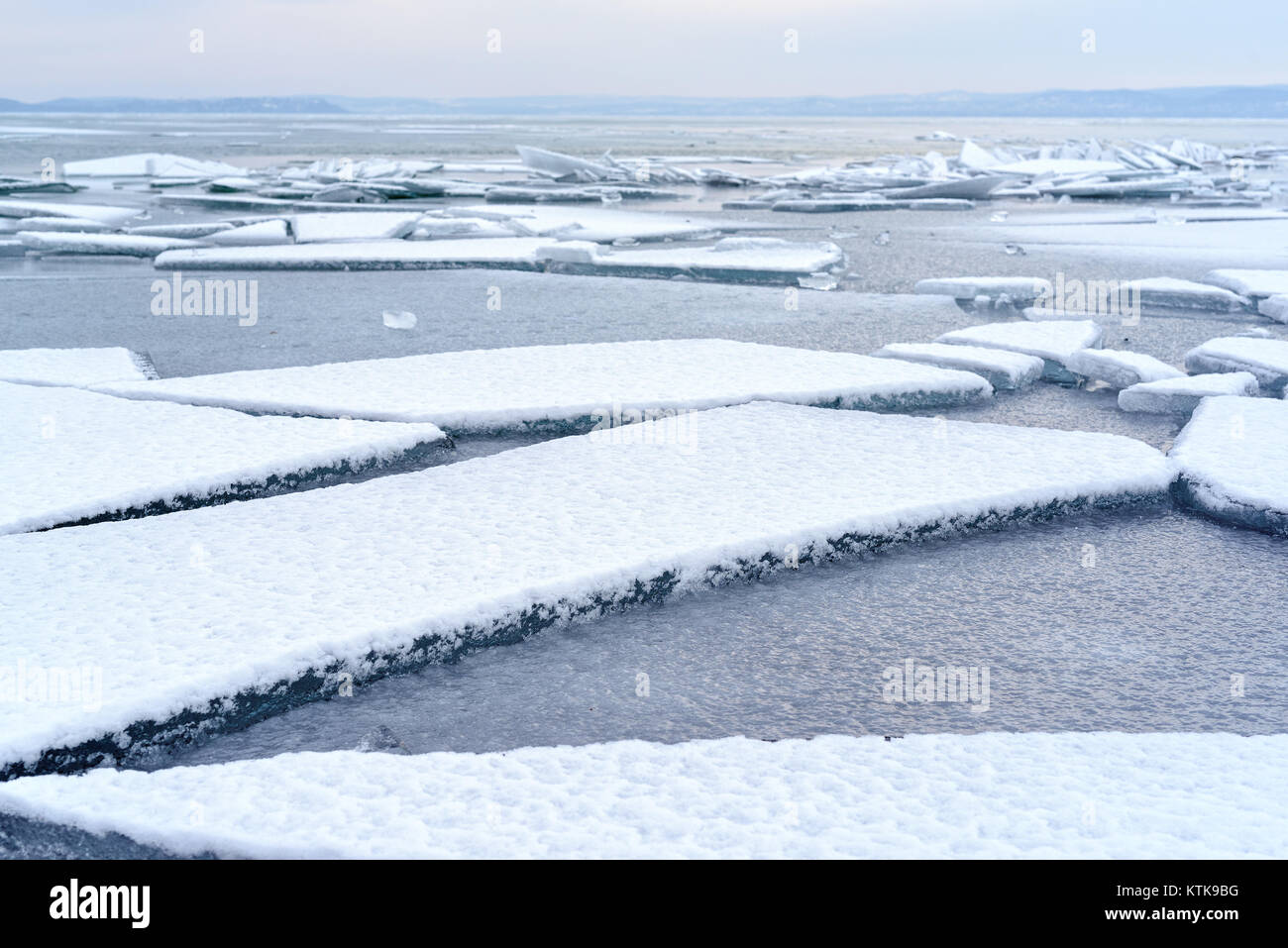 Floating cracked ice sheets Stock Photo Alamy