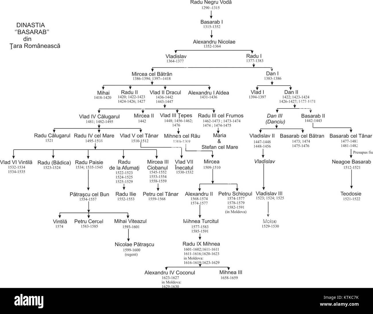 royal ballet leotards