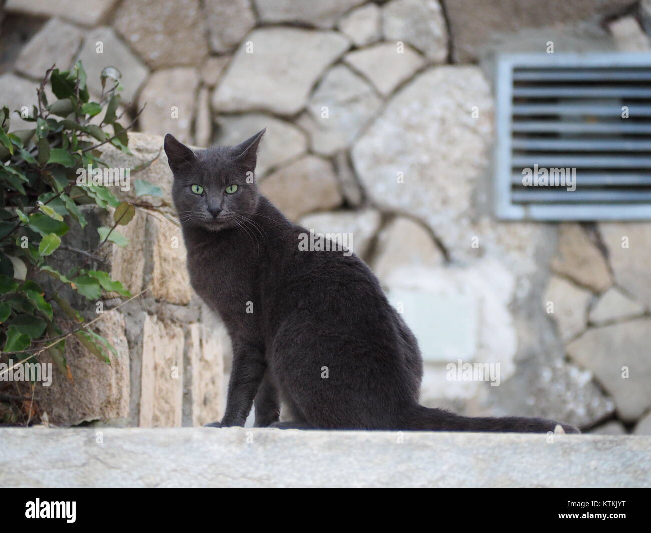 Nice Clean Street Clean street hi-res stock photography and images - Alamy