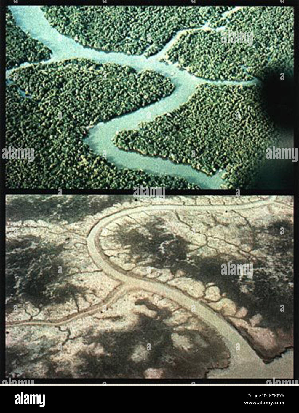 Before and after spraying agent orange Stock Photo Alamy