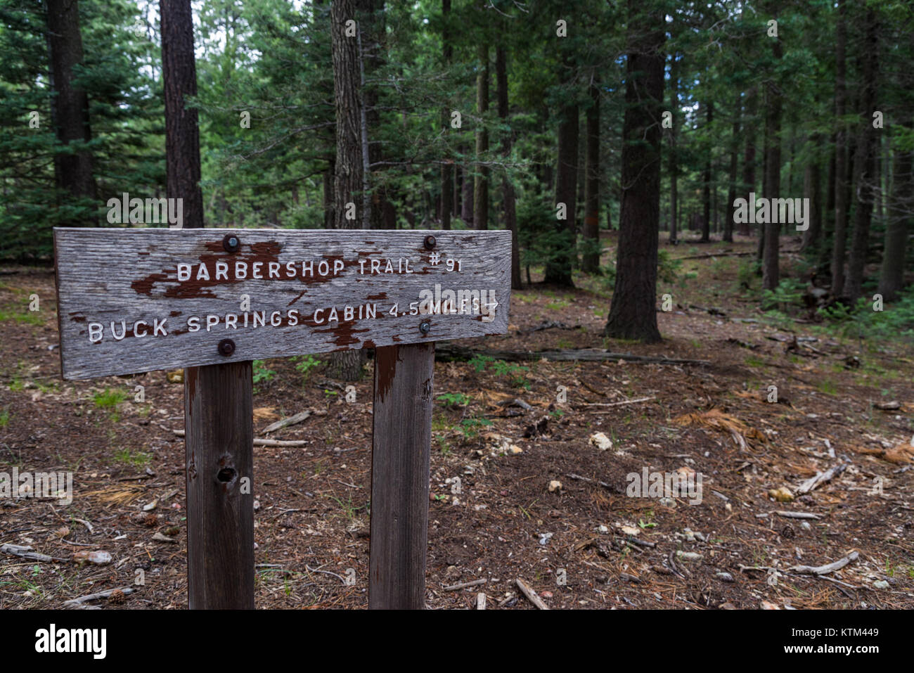 Cabin Loop Trail System Stock Photos Cabin Loop Trail System