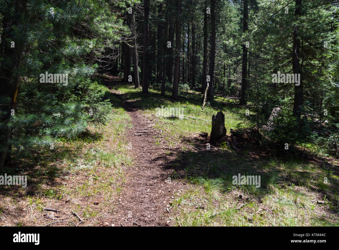 Cabin Loop Trail System Stock Photos Cabin Loop Trail System