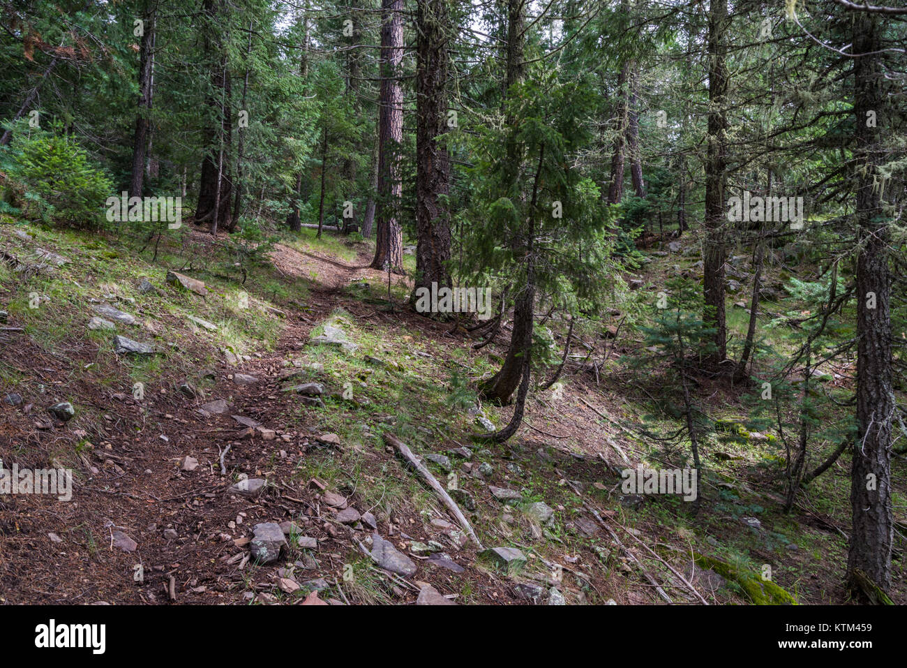 Cabin Loop Trail System Stock Photos Cabin Loop Trail System