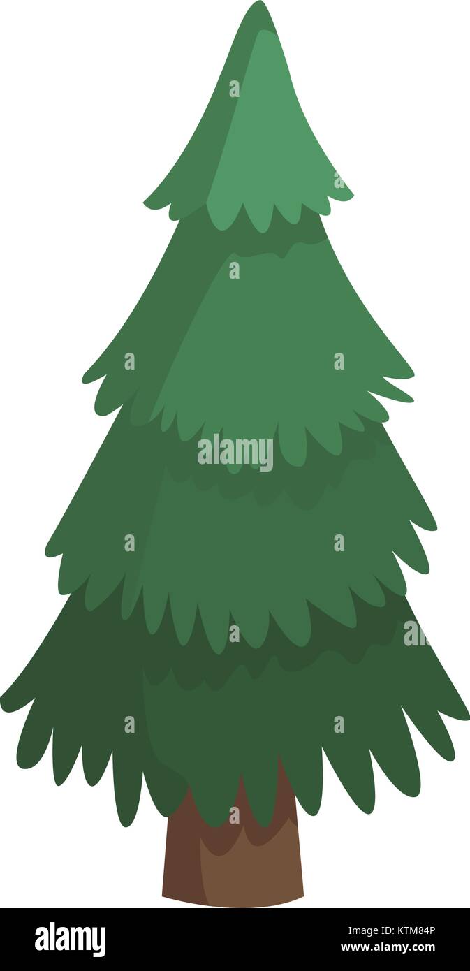 Tree pine isolated icon vector illustration graphic design Stock Vector ...