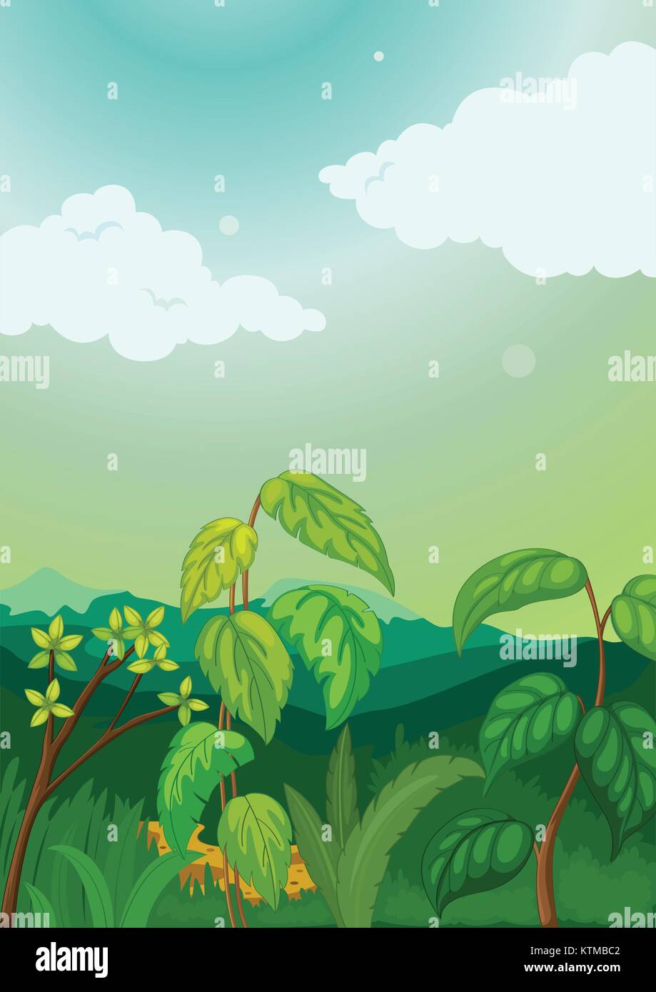 Illustration of a plant background Stock Vector Image & Art - Alamy