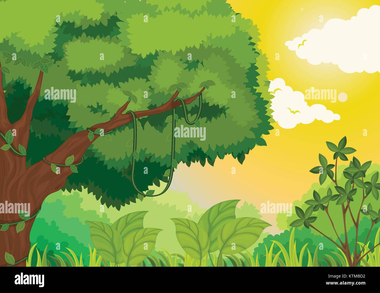 Lush jungle scene at sunset Stock Vector Image & Art - Alamy