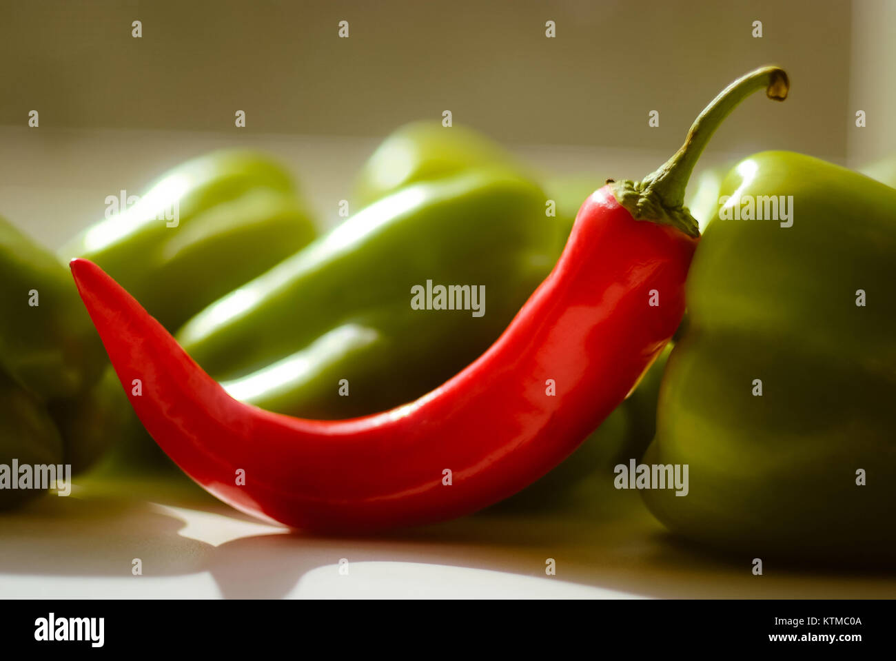 red hot chilli pepper on the sweet green pepper Stock Photo