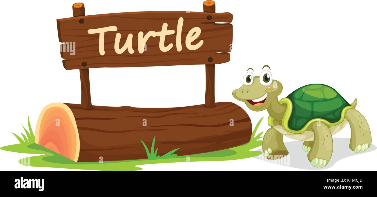 illustration of turtle and name plate on a white Stock Vector Image ...