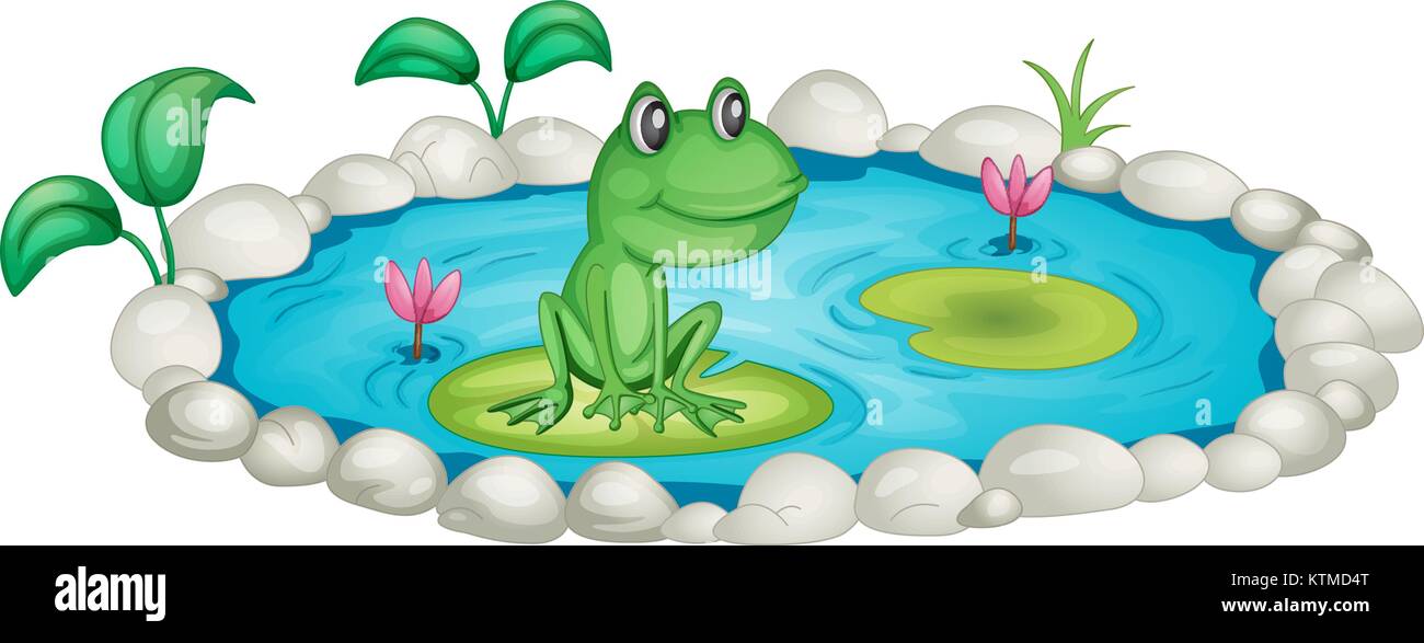 Frog in a pond illustration Stock Vector Image & Art - Alamy