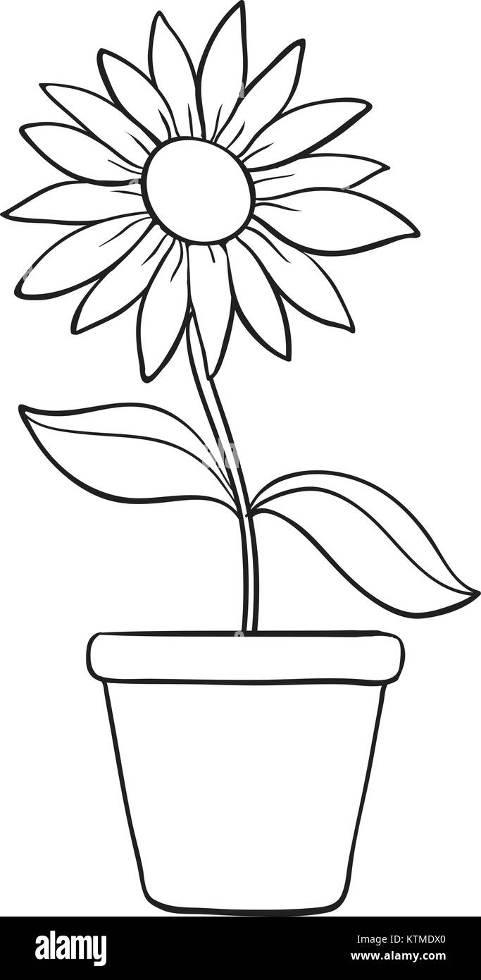 illustration of a flower and a pot sketch on white background Stock Vector  Image & Art - Alamy