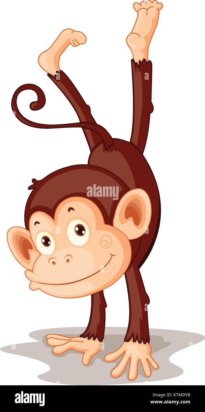 Illustration of a monkey on white Stock Vector
