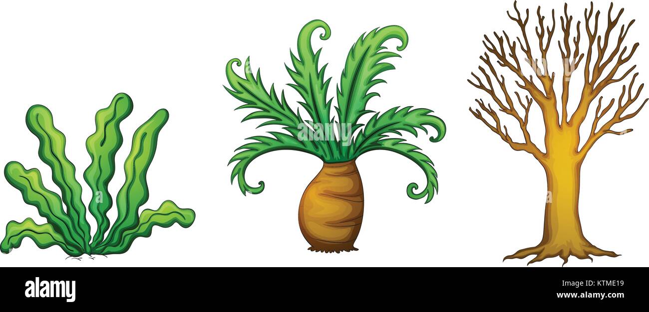 illustration of plants and tree on a white background Stock Vector ...