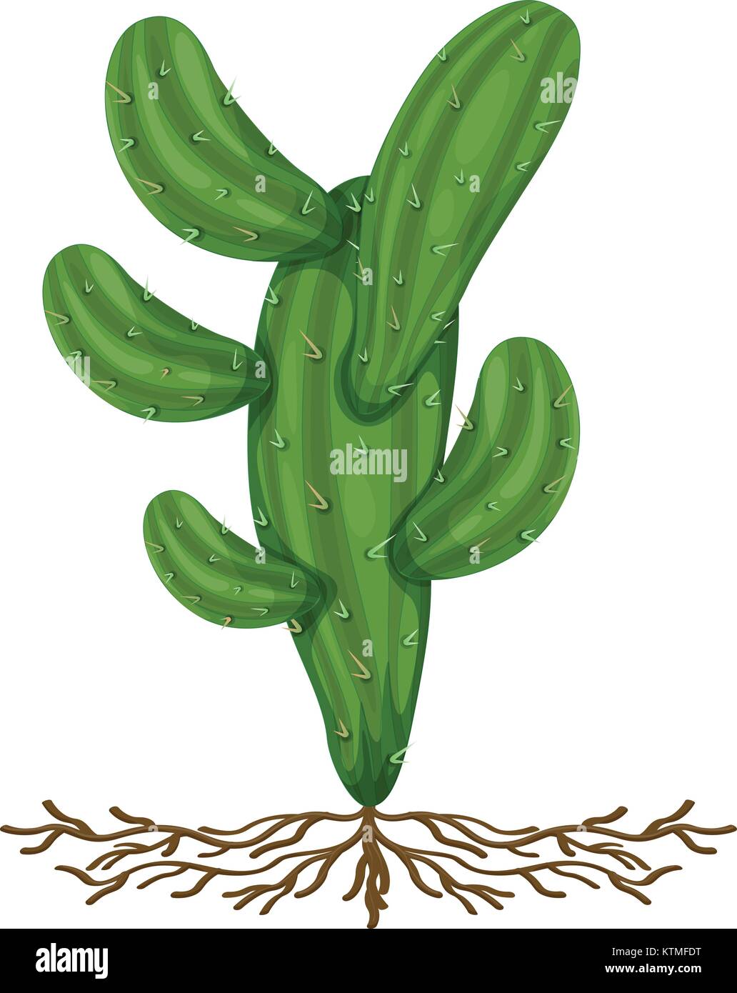 Illustration of cactus with roots Stock Vector Image & Art - Alamy