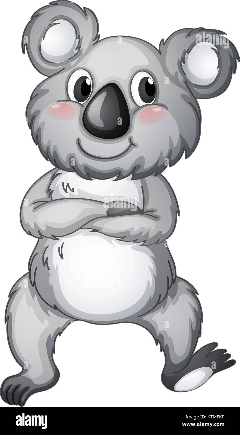 illustration of a koala bear on a white background Stock Vector Image ...
