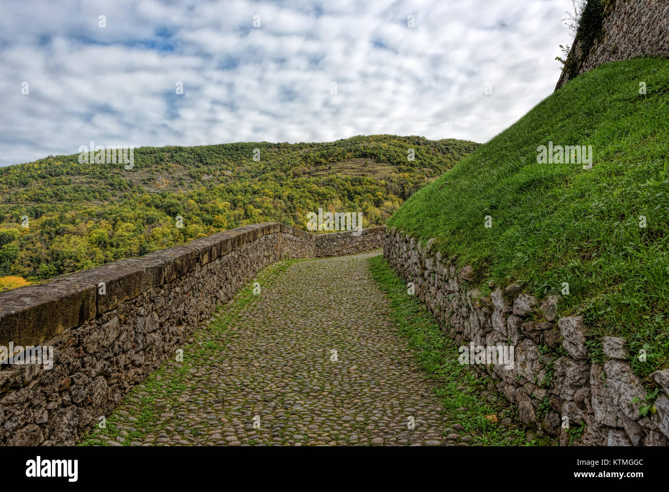 Pathway with cobblestone with green growth leading up the hill Stock Photo