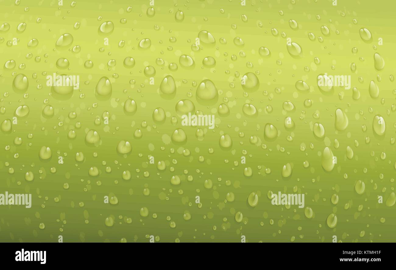 illustration of water drops on a green background Stock Vector Image ...