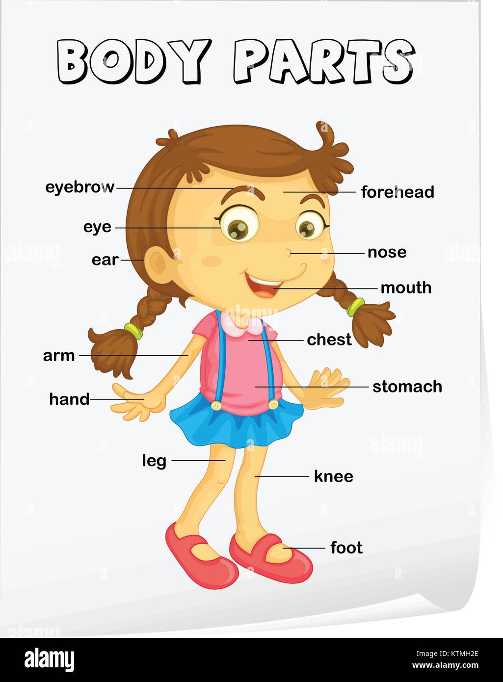 Vocabulary worksheet - parts of the body Stock Vector Image & Art In Spanish Body Parts Worksheet