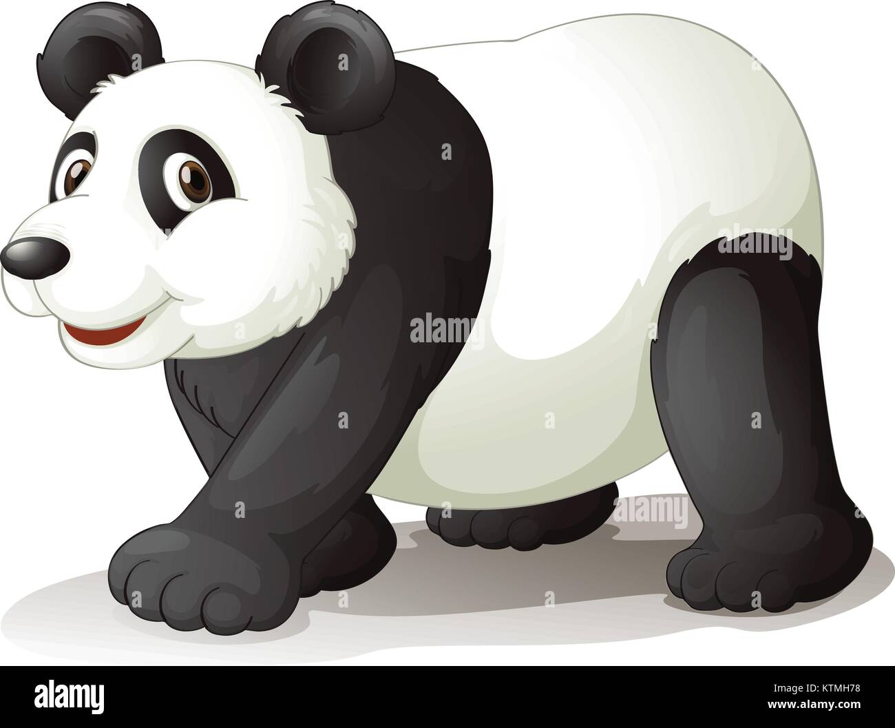 illustration of a panda on a white background Stock Vector