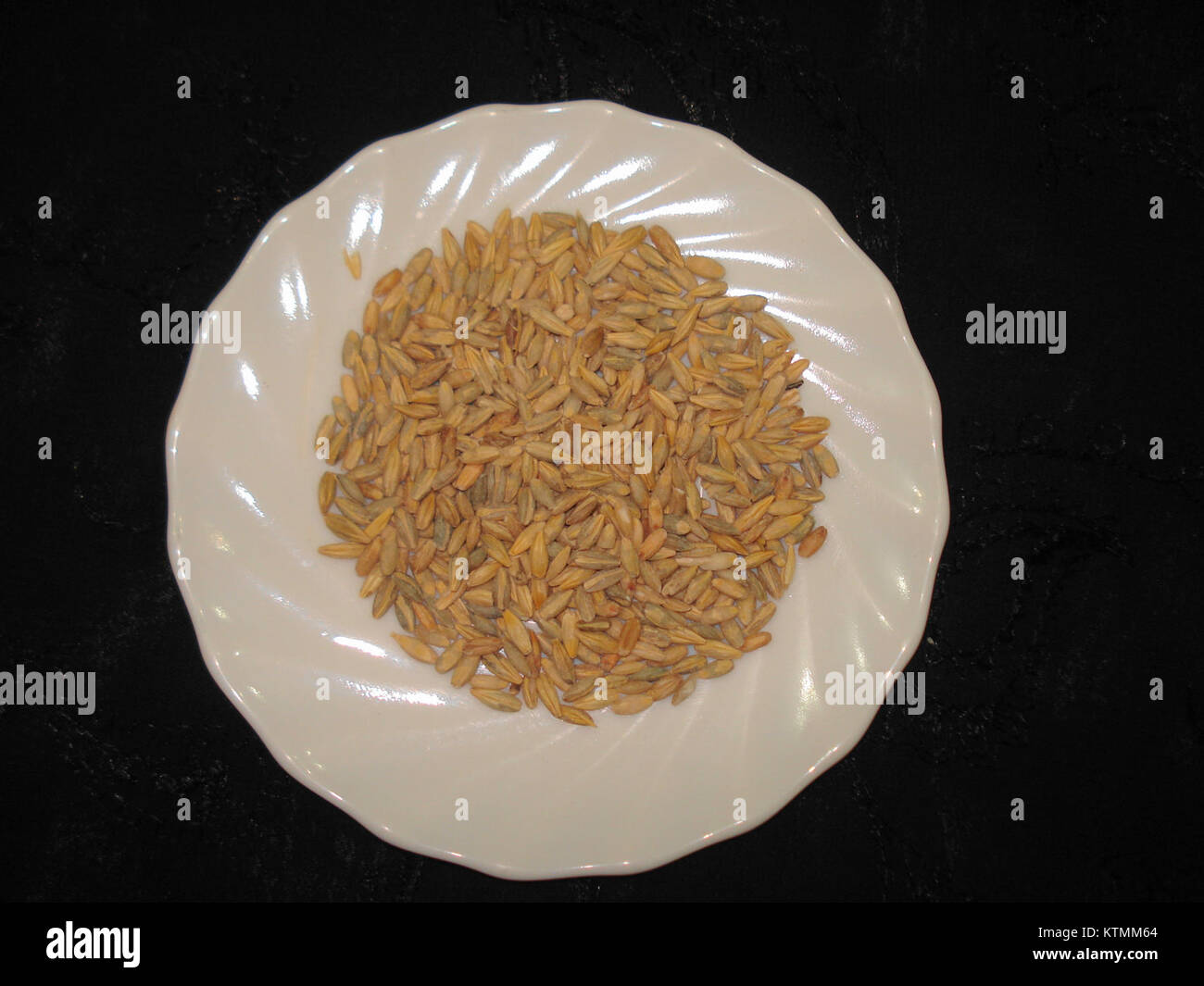 Barley (Jo) is a character or artwork by an unknown or lesser-known ...