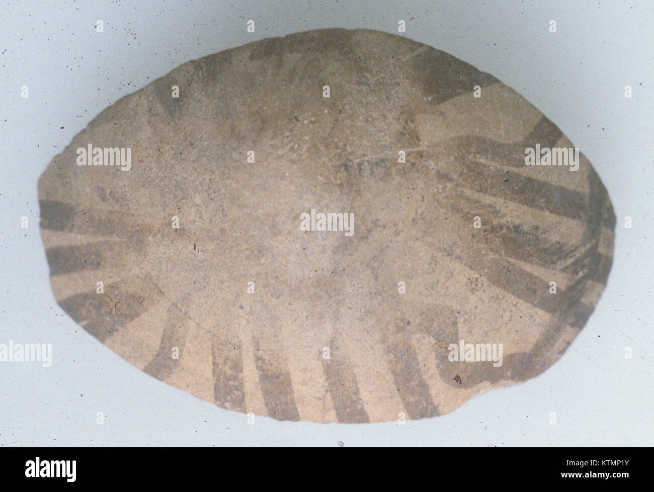 Ancient greek cypriot pottery hi-res stock photography and images - Alamy