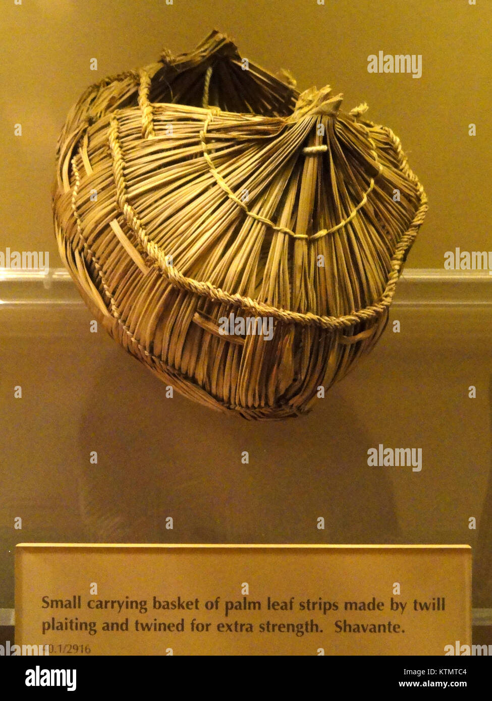 Basket, plaited and twined palm leaf strips, Xavante   AMNH   DSC06163 Stock Photo