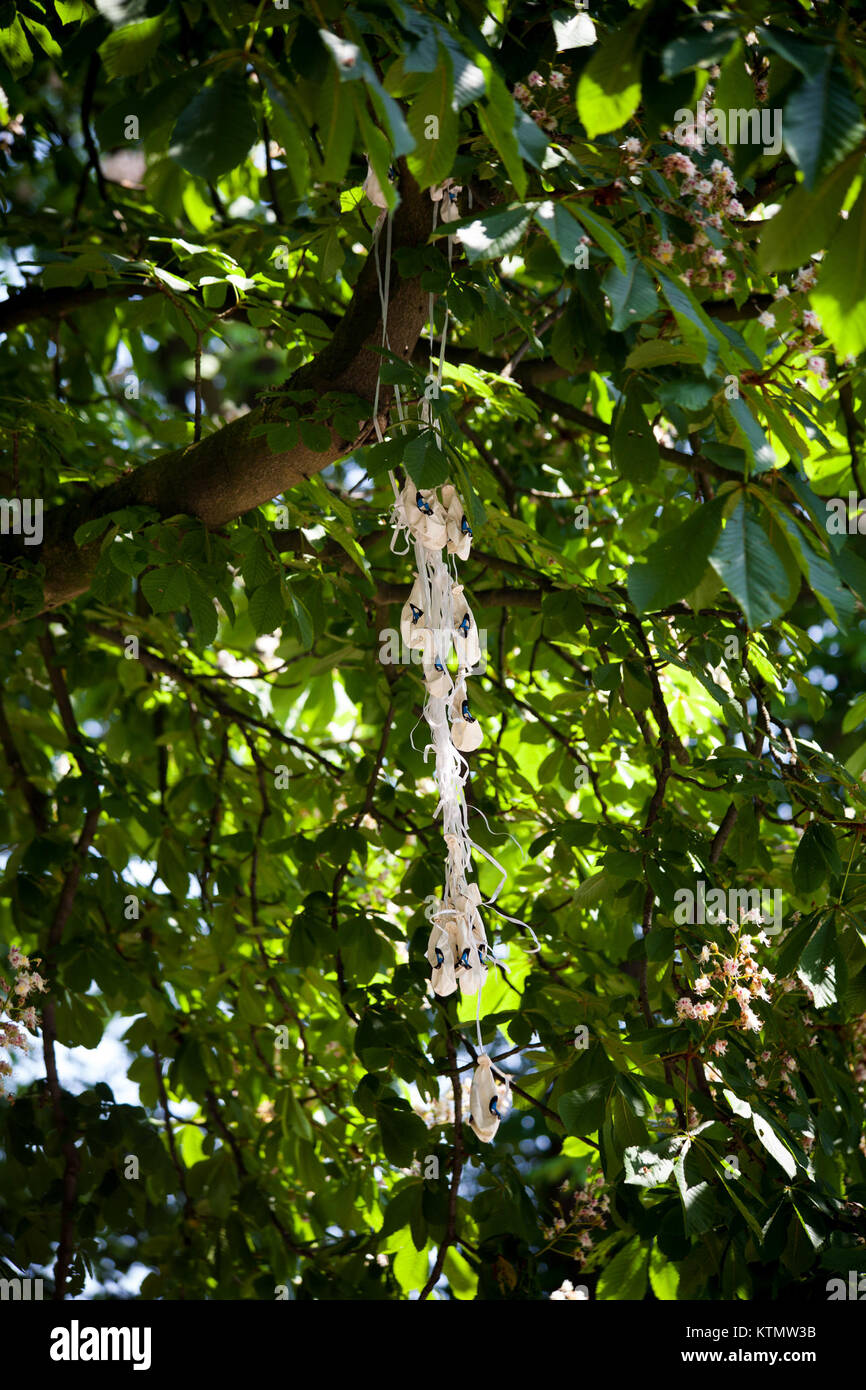 A balloon is caught in the branches of a chestnut tree, remaining ...