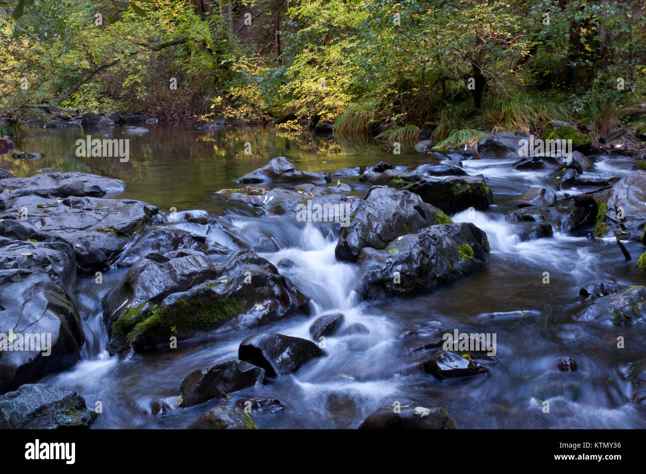 Fall Color On Lagunitas Creek In Samuel P Taylor State Park The Park Is Located On Sir Francis Drake Boulevard In West Marin County California Stock Photo Alamy Fall Color On Lagunitas Creek In Samuel P Taylor State Park The Park Is Located On Sir Francis Drake Boulevard In West Marin County California Stock Photo Alamy