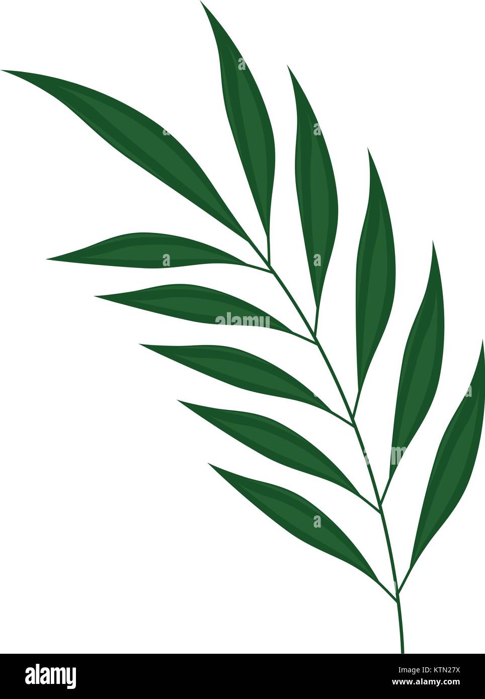 tropical palm leaf icon vector illustration design Stock Vector Image ...