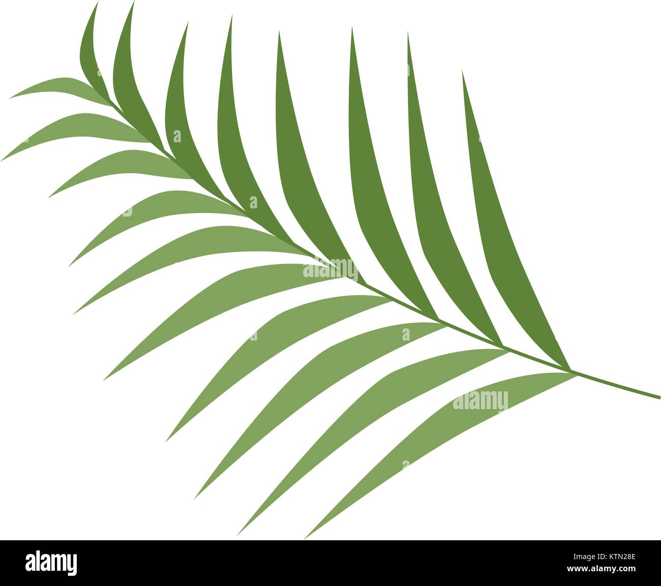 tropical palm leaf icon vector illustration design Stock Vector Image ...