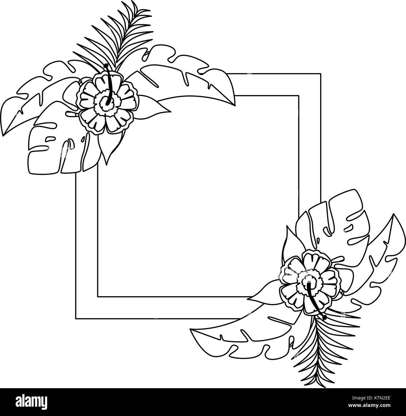 exotic and tropical flower frame vector illustration design Stock ...