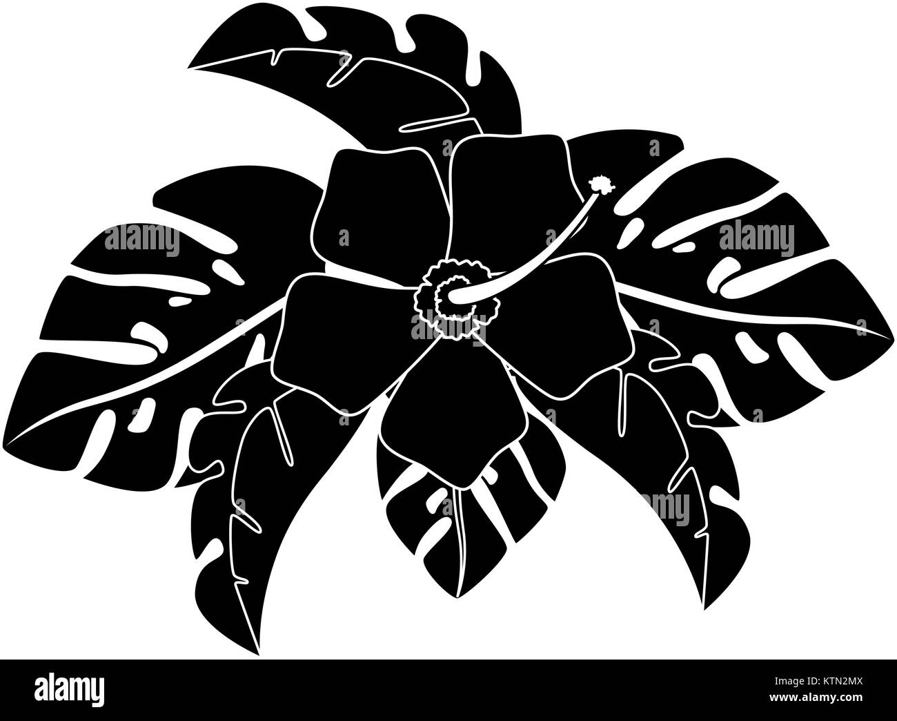 exotic and tropical flower vector illustration design Stock Vector ...