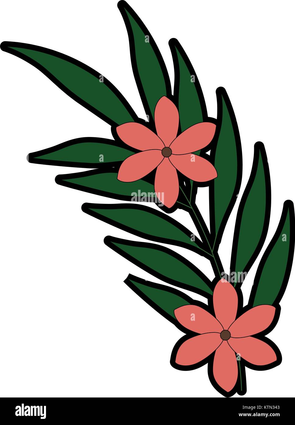 exotic and tropical flower vector illustration design Stock Vector ...