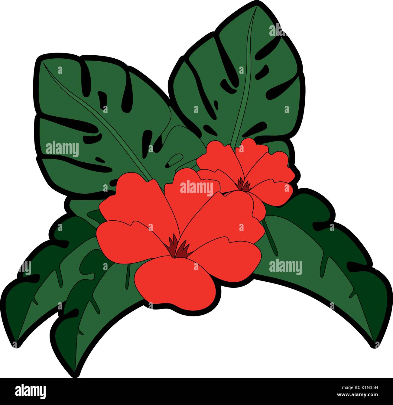 exotic and tropical flower vector illustration design Stock Vector ...