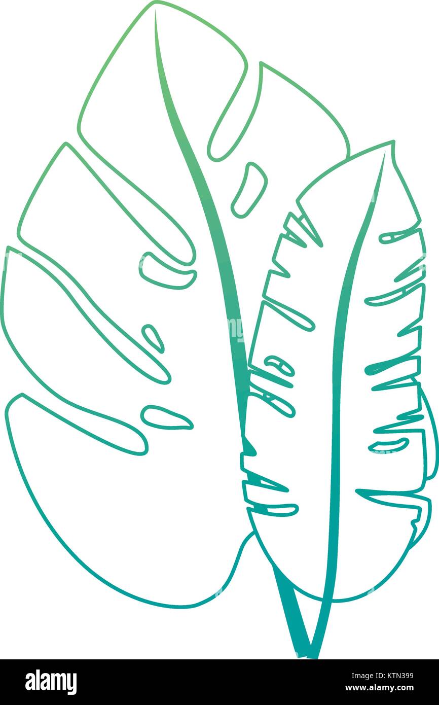 tropical palm leaf icon vector illustration design Stock Vector Image ...
