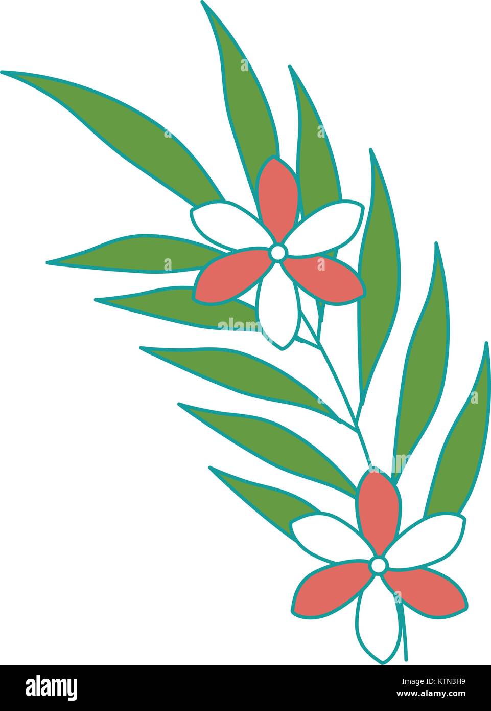 exotic and tropical flower vector illustration design Stock Vector ...
