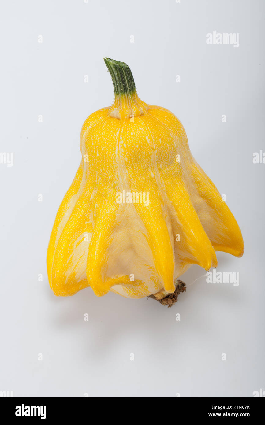 Decorative pumpkin isolated on white background Stock Photo - Alamy