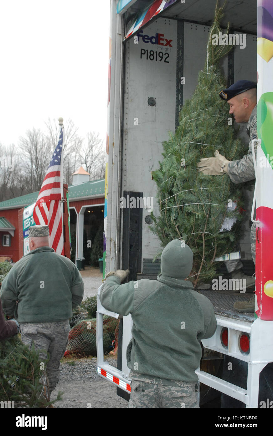 BALLSTON SPA, N.Y. -- New York Air National Guard members of the 109th Airlift Wing from Scotia, N.Y. volunteer their time to assist FedEx driver Don Pelletier load Christmas Trees here at Ellms Christmas Tree Farm Dec. 7. Nearly 20 Airmen volunteered to assist in the annual &quot;Trees for Troops&quot; loading of about 150 donated trees bound for military installations and families around the country and the globe. U.S. Army photo by Col. Richard Goldenberg, New York Army National Guard. (RELEASED) Stock Photo
